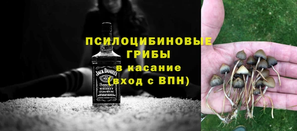 ECSTASY Бронницы